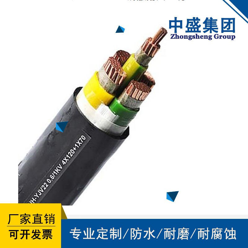 中盛變頻電纜變頻器專用電纜 BPYJVTP 4*4